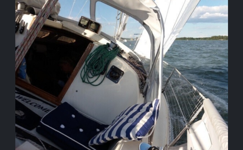 Maxi Fenix Classic-kuva-4